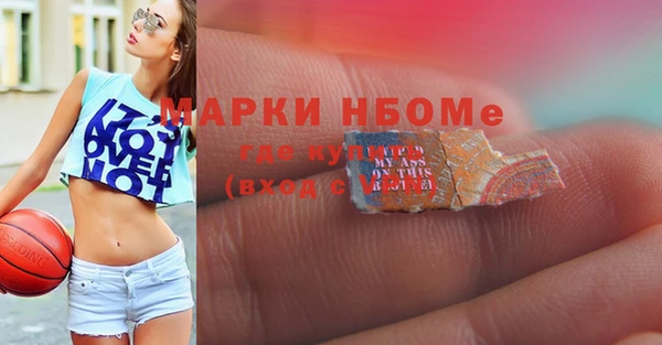 хмурый Нефтекумск
