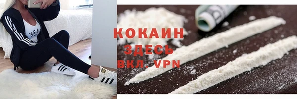крисы Нея