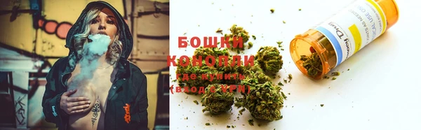 хмурый Нефтекумск