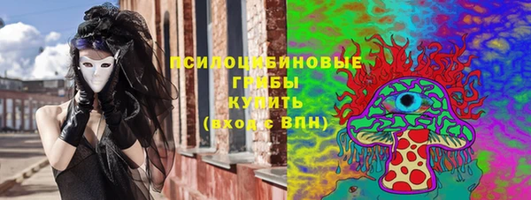 хмурый Нефтекумск