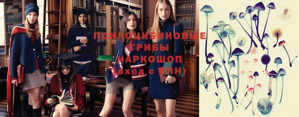 хмурый Нефтекумск
