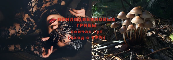 крисы Нея