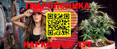 таблы Бийск