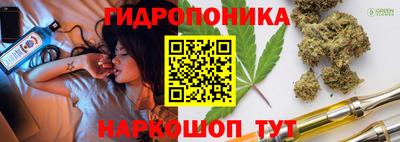 каннабис Новодвинск
