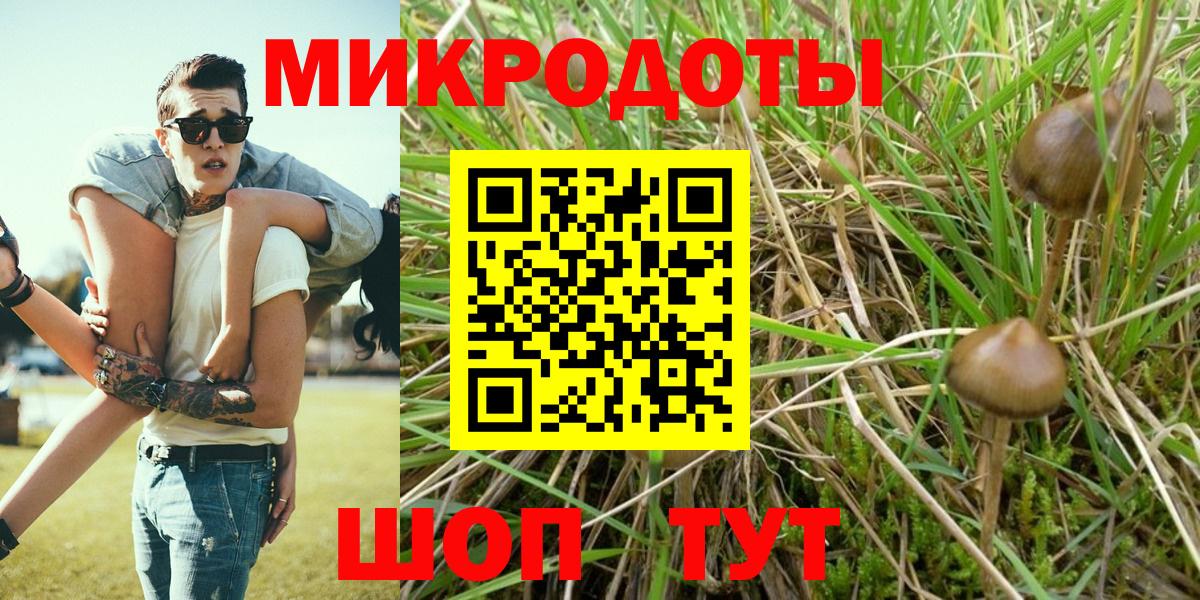 Псилоцибиновые грибы прущие грибы Владивосток