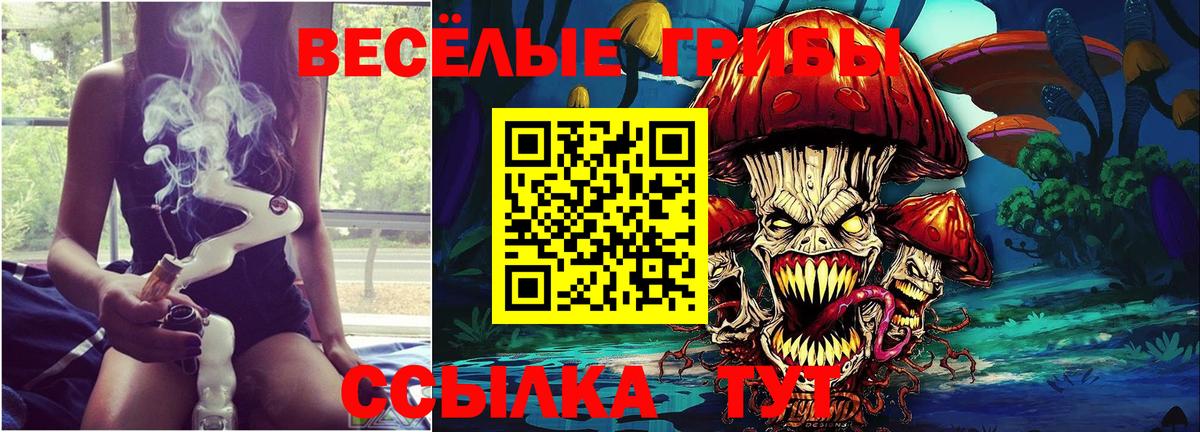 Псилоцибиновые грибы Psilocybe  Галлюциногенные грибы ЛСД  Владивосток 