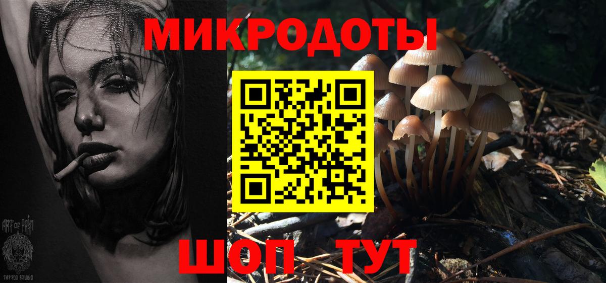 Псилоцибиновые грибы ЛСД Владивосток