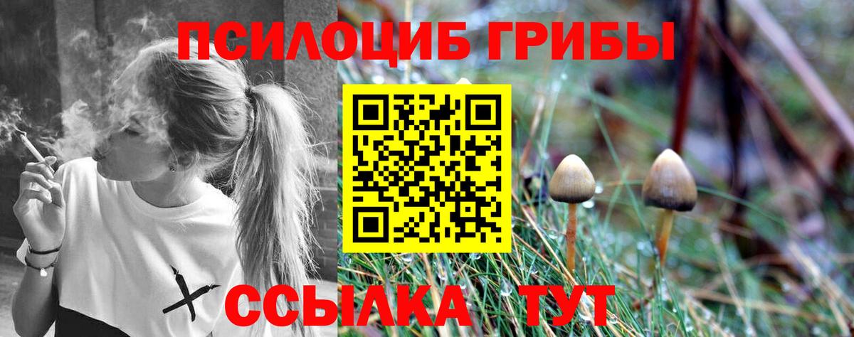 купить наркотик  Псилоцибиновые грибы MAGIC MUSHROOMS  Вход с VPN  Владивосток 